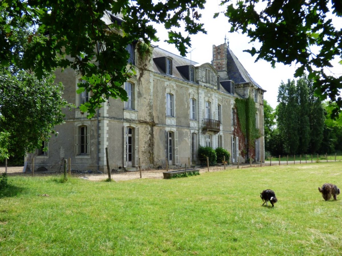 Chateau a restaurer mayenne